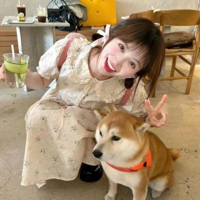 我的夏日恋曲