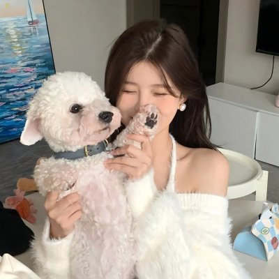 与鲨同泳